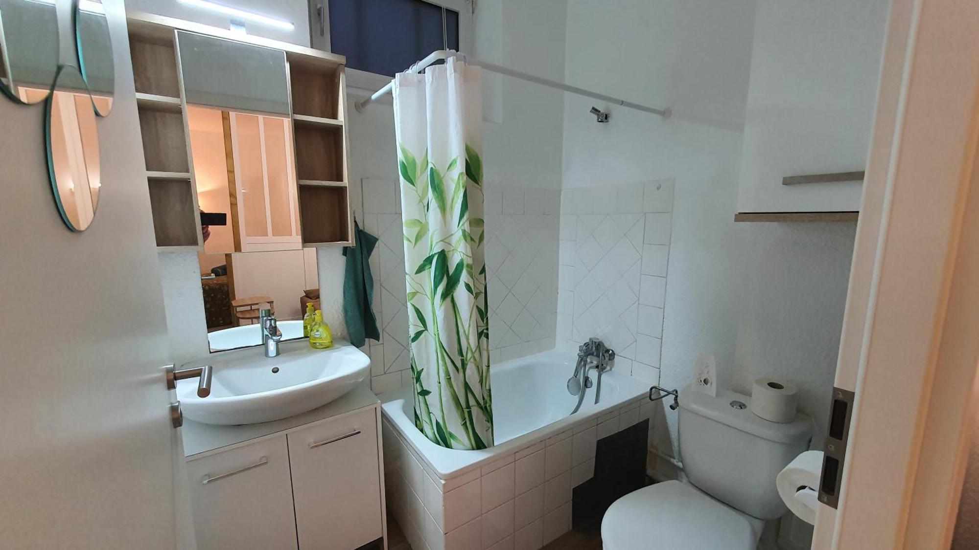 Appartement Studio Charmant Strasbourg